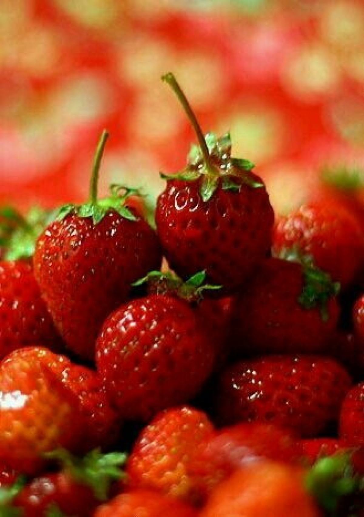 strawberry苹果版(strawberryapp)-第2张图片-亚星国际官网