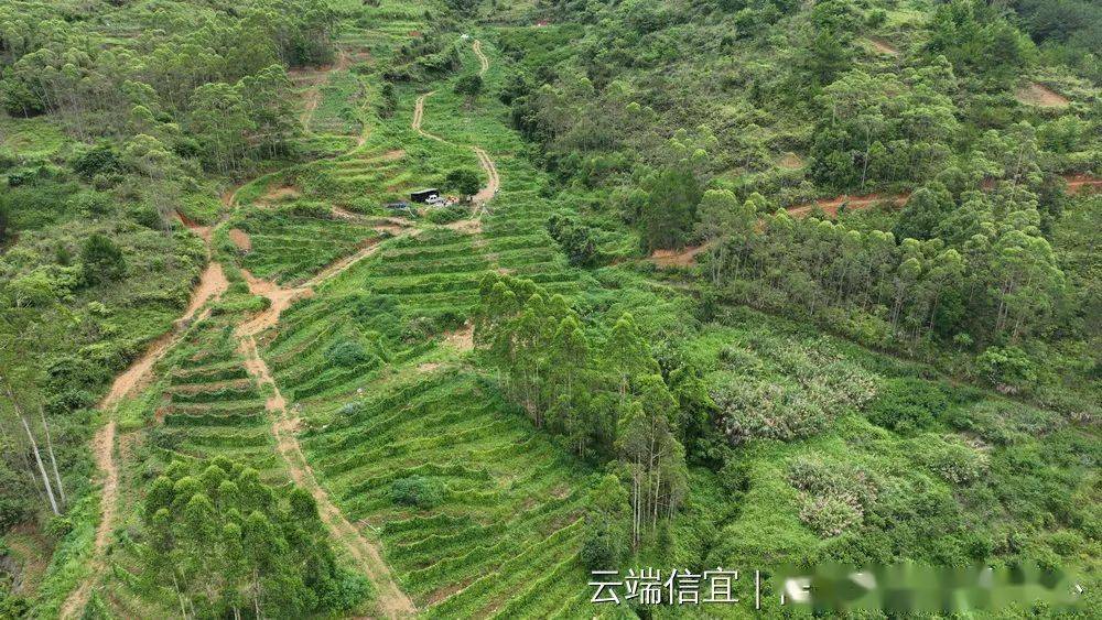 云端信宜客户端手机云端app下载-第2张图片-亚星国际官网