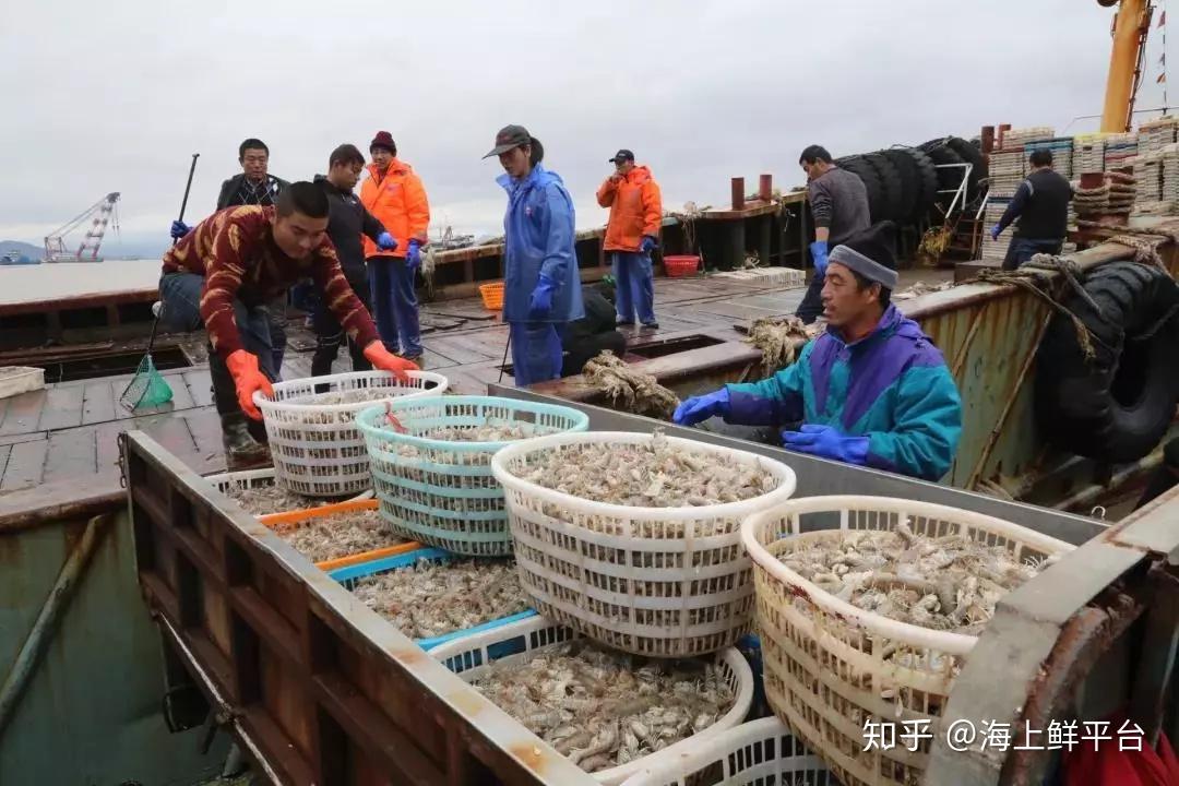 海上鲜app渔船版wifi苹果版(大型海上挖沙船价格)-第4张图片-有道翻译官网 海上鲜app渔船版wifi苹果版(大型海上挖沙船价格)-第4张图片-有道翻译官网