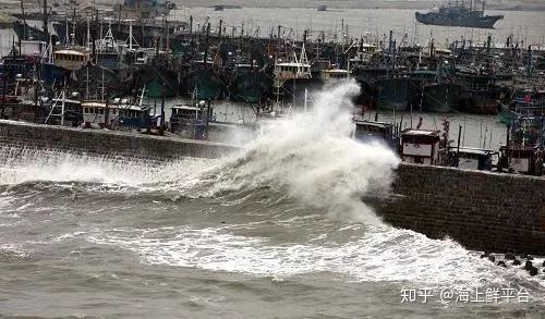 海上鲜app渔船版wifi苹果版(大型海上挖沙船价格)-第5张图片-有道翻译官网 海上鲜app渔船版wifi苹果版(大型海上挖沙船价格)-第5张图片-有道翻译官网