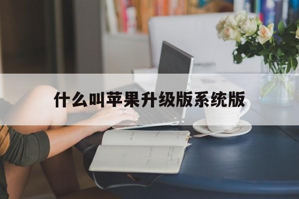 什么叫苹果升级版系统版(苹果手机推出的升级版本属于什么产品)-第14张图片-有道翻译官网