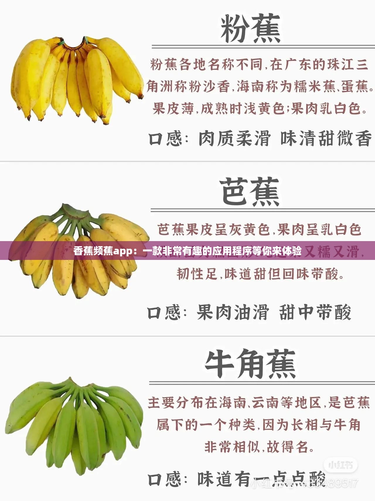 香蕉破解版破解apk苹果版的简单介绍-第3张图片-有道翻译官网 香蕉破解版破解apk苹果版的简单介绍-第3张图片-有道翻译官网