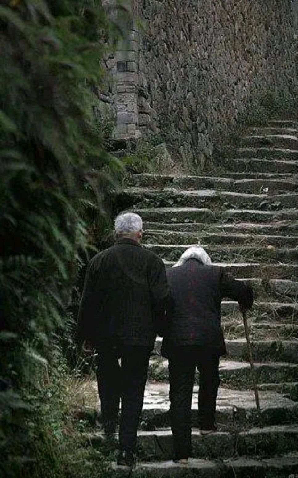 爸妈手机苹果版下载(苹果手机怎么下载家长模拟器)-第6张图片-有道翻译官网