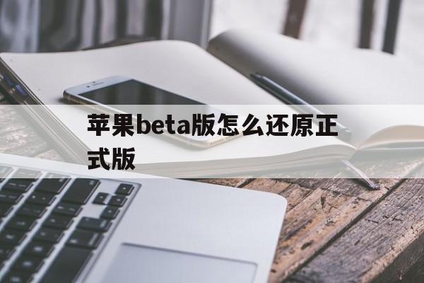 苹果beta版怎么还原正式版(iphone如何从beta版更新到正版)-第12张图片-有道翻译官网 苹果beta版怎么还原正式版(iphone如何从beta版更新到正版)-第12张图片-有道翻译官网