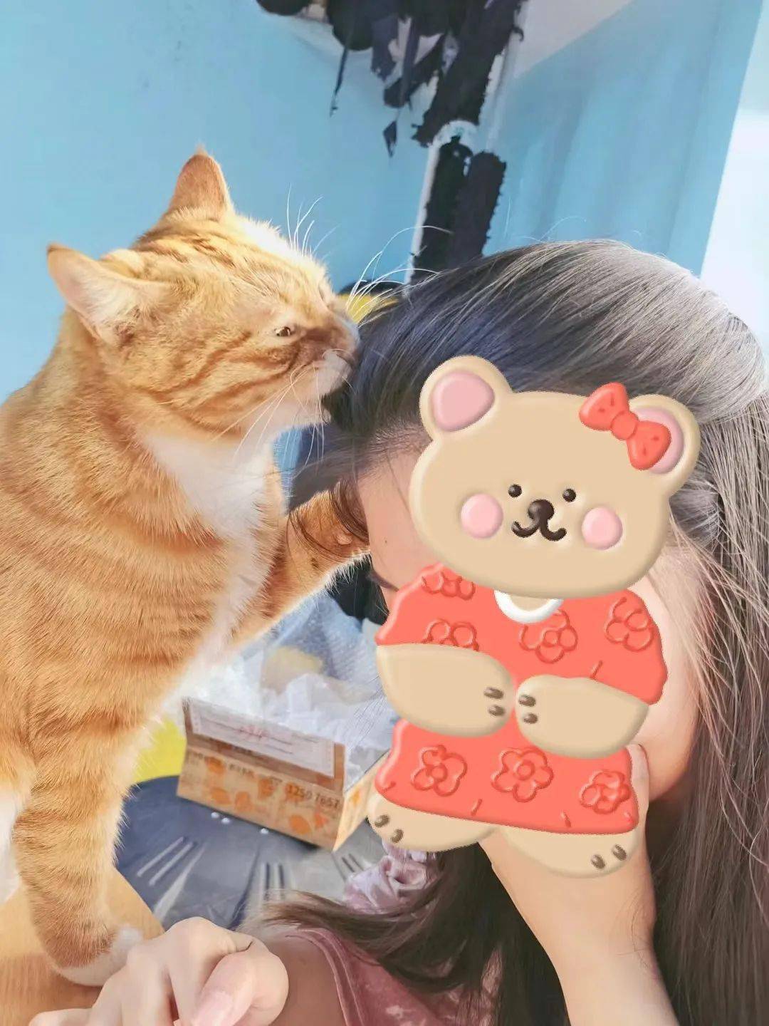 成版人猫咪破解版苹果(猫咪最新破解版apkrename)-第6张图片-有道翻译官网 成版人猫咪破解版苹果(猫咪最新破解版apkrename)-第6张图片-有道翻译官网